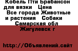 Кобель Пти Брабансон для вязки › Цена ­ 30 000 - Все города Животные и растения » Собаки   . Самарская обл.,Жигулевск г.